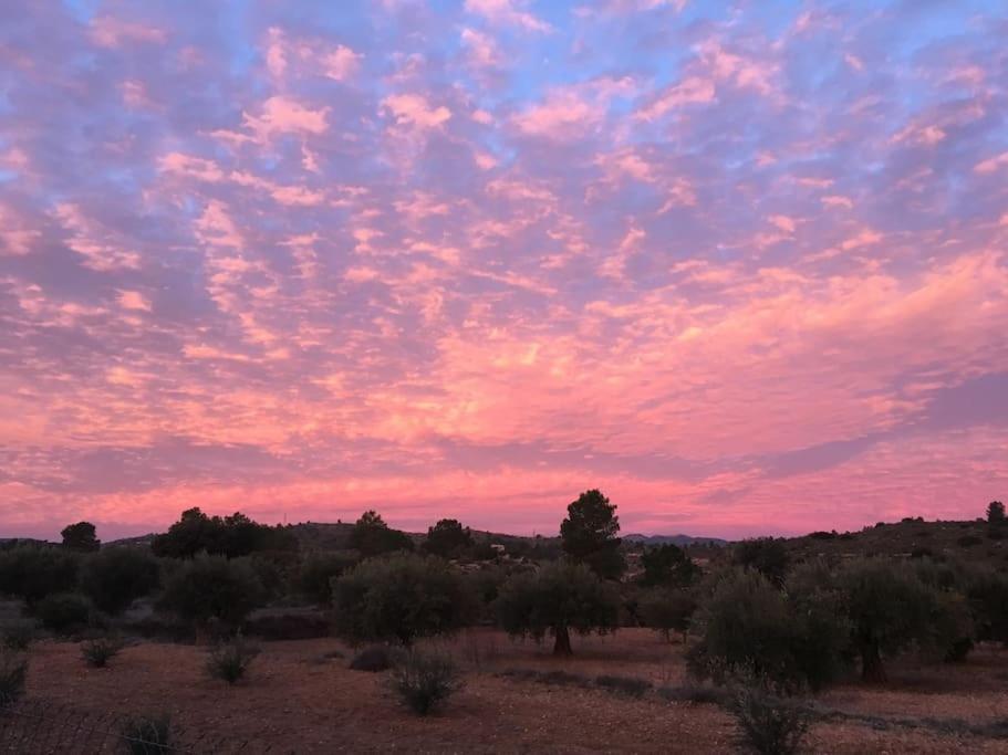 Casa De Madera, A From Home. * Teresa de Cofrentes